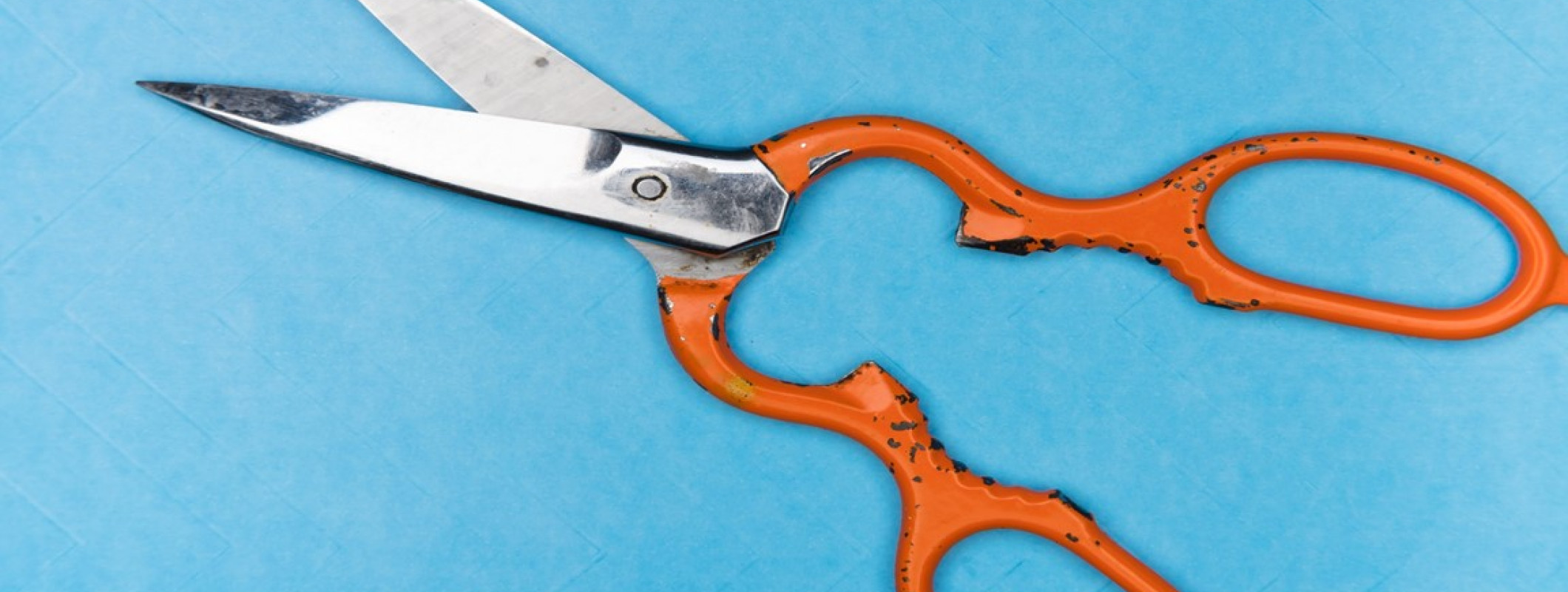 The Top 6 Best Sewing Scissors Updated Reviews 2022