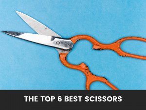 The Top 6 Best Sewing Scissors Updated Reviews 2022