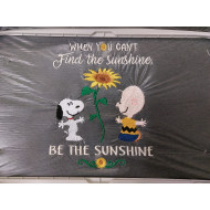 Find The Sunshine