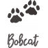 Bobcat