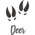 Deer Paw