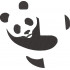 Panda Cartoon Bear