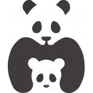 Baby Panda