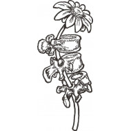 Floral Spinal Growth 