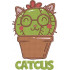 Catcus