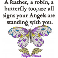 Angel Signs Quote
