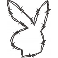Rabbit Face Sketch