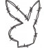 Rabbit Face Sketch