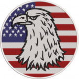 American Bald Eagle