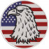 American Bald Eagle