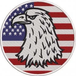American Bald Eagle