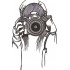 Photographer Woman