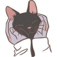 Cat In Cupped Hands