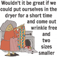 Put Ourselves In The Dryer Funny Quote