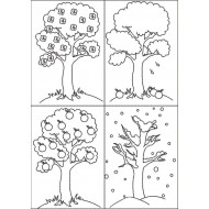 Tree In 4 Seasons