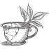 Broken Tea Cup
