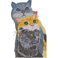 Three Cute Cats