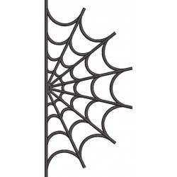 Spider Web