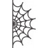 Spider Web