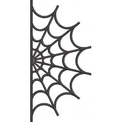 Spider Web