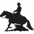 Cowboy Silhouette