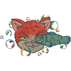Cat And A Fish