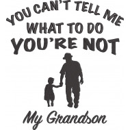 You Cant Tell Me Grandson