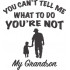 You Cant Tell Me Grandson