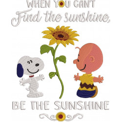 Find The Sunshine