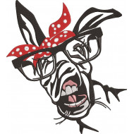 Donkey Face