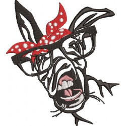 Donkey Face