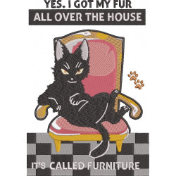 Funny Cat Furniture Quote
