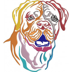 Dogue De Bordeaux Face