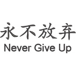 Never Give Up