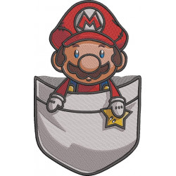 Adventurous Plumber Pocket
