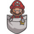 Adventurous Plumber Pocket