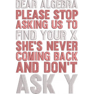 Dear Algebra Funny Quote