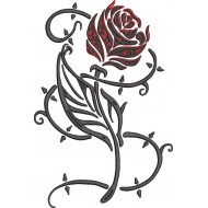 Red Rose