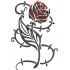 Red Rose