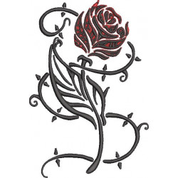 Red Rose