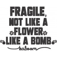 Fragile Like A Bomb
