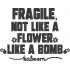 Fragile Like A Bomb
