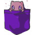 Kitty in a Pocket