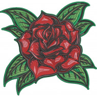 Beautiful Rose