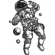 Lost Astronaut
