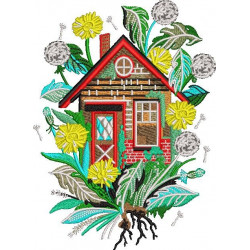 Colorful House