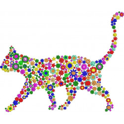 Colorful Floral Cat