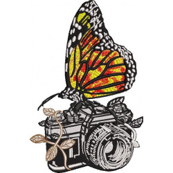 Butterfly On Camera