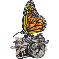 Butterfly On Camera