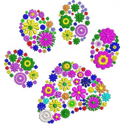 Paw Design
